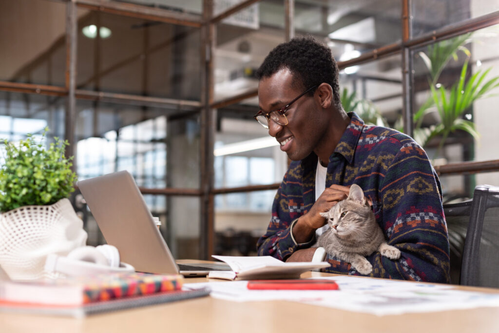 A grey cat sitting in office employees hands.
