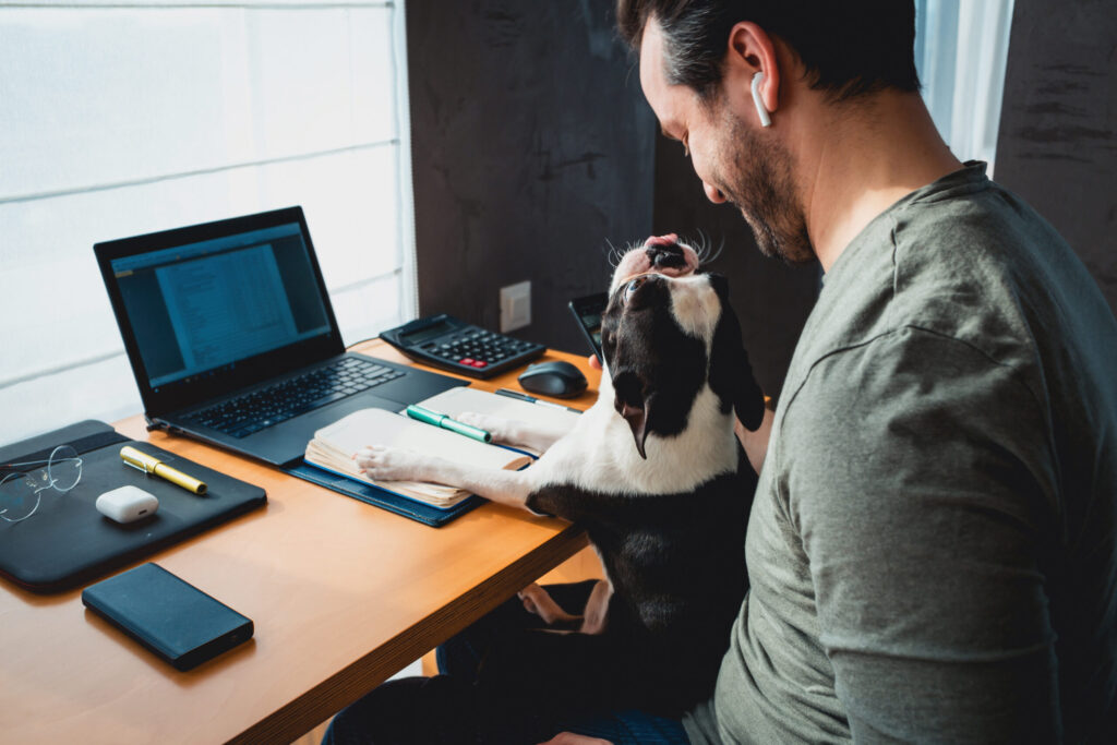 Dog at an office desk with a man