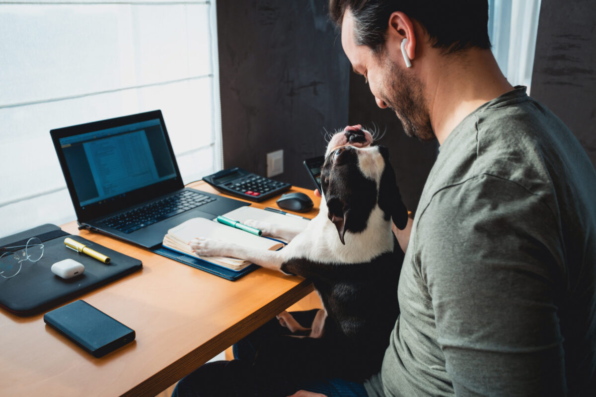 Dog at an office desk with a man