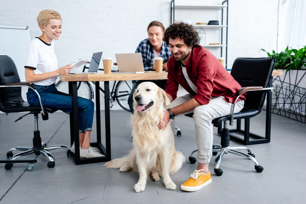 Dog is with a group of employees in a meeting room at the office.